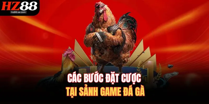 Các bước đặt cược tại sảnh game đá gà