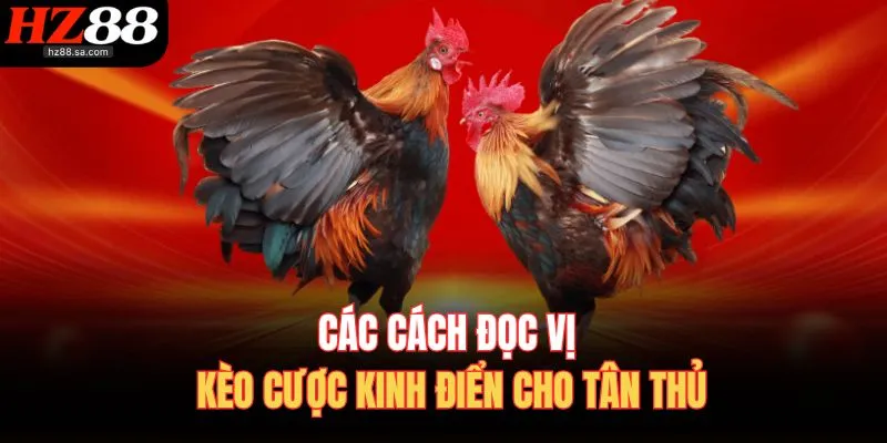 Các cách đọc vị kèo cược kinh điển cho tân thủ