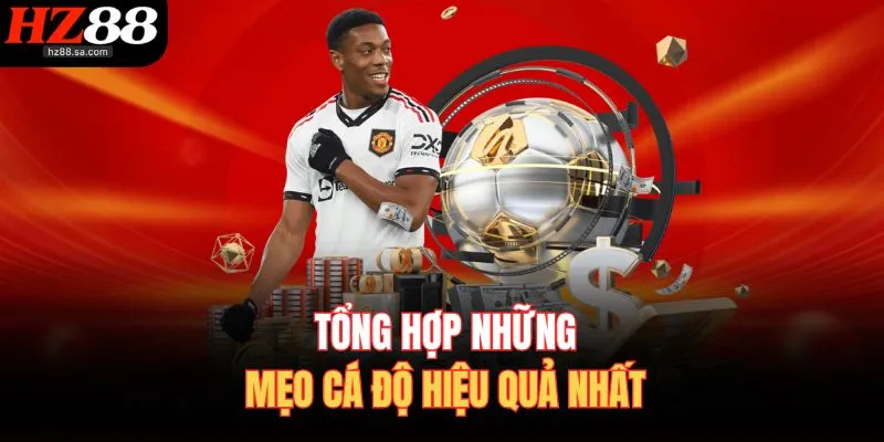 Tổng hợp những mẹo cá độ hiệu quả nhất